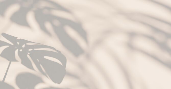 AESTHETIC TREATMENTS